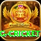 1st inning betting cricket Pro Edition v4.5.4