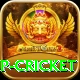 2022 world cup cricket App
