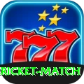 all cricket match Plus Edition v1.0.6