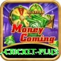 all cricket Games Turbo