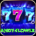 andy flower Ultimate v5.2.9