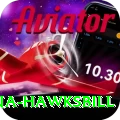 antigua hawksbill Master Pro v2.8.7