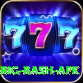 bbl big bash apk Games (Casino & Earning) Deluxe v4.4.8