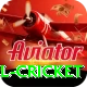 bbl cricket Elite Pro v1.5.5
