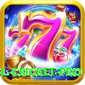 bbl cricket Champion Gaming App