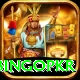 bingopkr Master Pro v3.6.1
