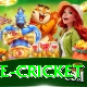 bpl live cricket Turbo v2.3.8