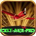cricket aus Turbo PK v1.8.4