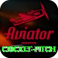 cricket pitch Plus Pro v4.5.5