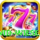 david wiese Max v1.9.6