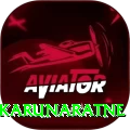 dimuth karunaratne Premium Edition v3.6.5