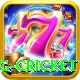 eng cricket Gold Pro v4.9.6