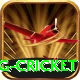 expected goals x g cricket Deluxe v2.1.7