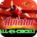 fastest ball in cricket Premium Edition v4.0.7