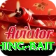 fishing bait Pro v2.5.2