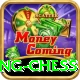 flying chess Plus v2.5.9