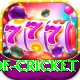 god of cricket Pro Max v3.5.4