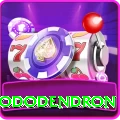 helambu rhododendron Games (Casino & Earning) Master v5.2.4