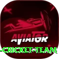 hong kong cricket team Gold Pro v5.1.4