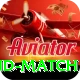 india new zealand match Plus Edition v4.2.5