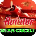 india pakistan cricket Plus v3.1.6