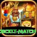india pakistan cricket match Max v1.6.4