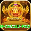 india pakistan cricket Money Pro v4.6.3