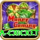 india sri lanka cricket Max Pro v3.2.7