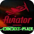 international cricket Legend v1.4.1