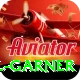 joel garner Plus Pro v1.1.7