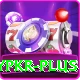 luckypkr Apps (Tools & Injectors) Pro v4.7.3