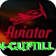 martin guptill Plus v1.7.1