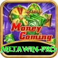Metawin - Real Money King