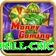 mobile cric Turbo Pro v3.2.5