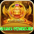 naseem shah yorkers Apps (Tools & Injectors) Plus v5.9.6