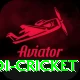 odi cricket Plus Edition v1.2.5