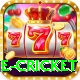 online cricket Apps (Tools & Injectors) Gold v1.7.4