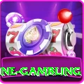 online gambling VIP v2.4.1