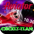 pakistan women cricket team Premium Plus v3.4.2