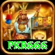 pkr666 Apps (Tools & Injectors) Plus v2.8.4