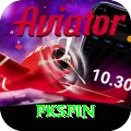 pkspin Pro v4.0.0