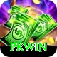 PKWin Apps (Tools & Injectors) Pro vv5.2.2