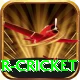 r cricket Ultimate v4.3.1
