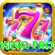 Rajabet88 - Gaming Pro