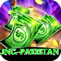 responsible gambling pakistan Games (Casino & Earning) Elite v3.7.0