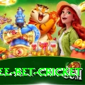 risk free bet cricket Turbo Pro v5.4.1