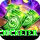 shahrukh khan cricketer Pro1 v4.3.9