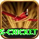 sky sports cricket Plus v3.7.8