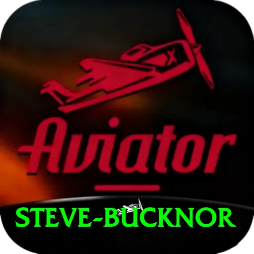 steve bucknor Pro Edition v3.1.3 - 2