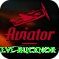 steve bucknor Pro Edition v3.1.3